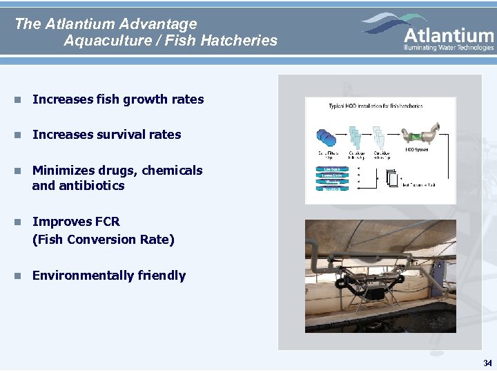 The Atlantium Advantage Aquaculture / Fish Hatcheries n Increases fish growth rates n Increases