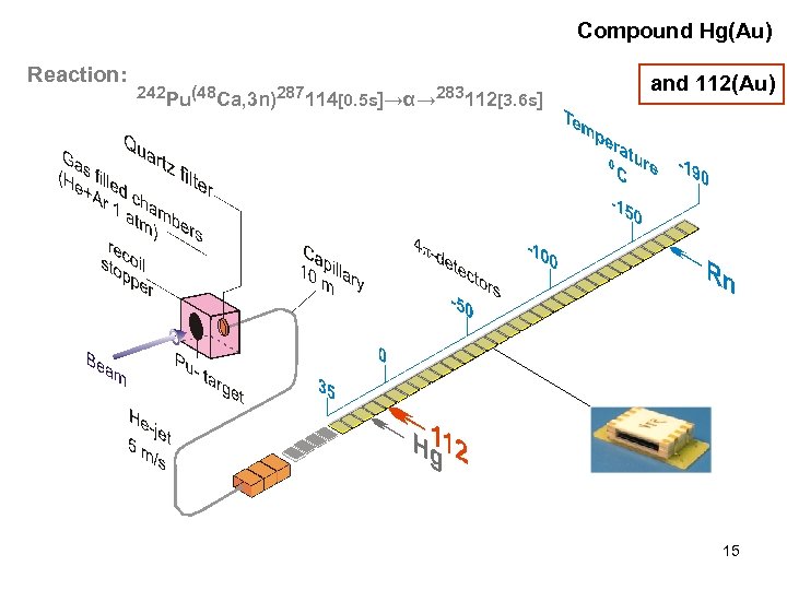  Compound Hg(Au) Reaction: 242 Pu(48 Ca, 3 n)287114[0. 5 s]→α→ 283112[3. 6 s]