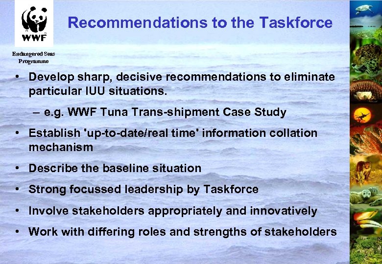 Recommendations to the Taskforce Endangered Seas Programme • Develop sharp, decisive recommendations to eliminate
