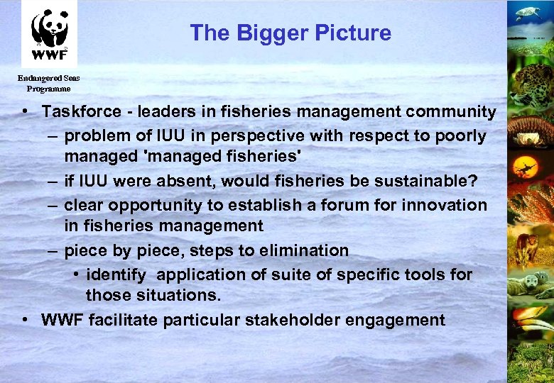 The Bigger Picture Endangered Seas Programme • Taskforce - leaders in fisheries management community