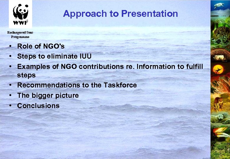 Approach to Presentation Endangered Seas Programme • Role of NGO's • Steps to eliminate