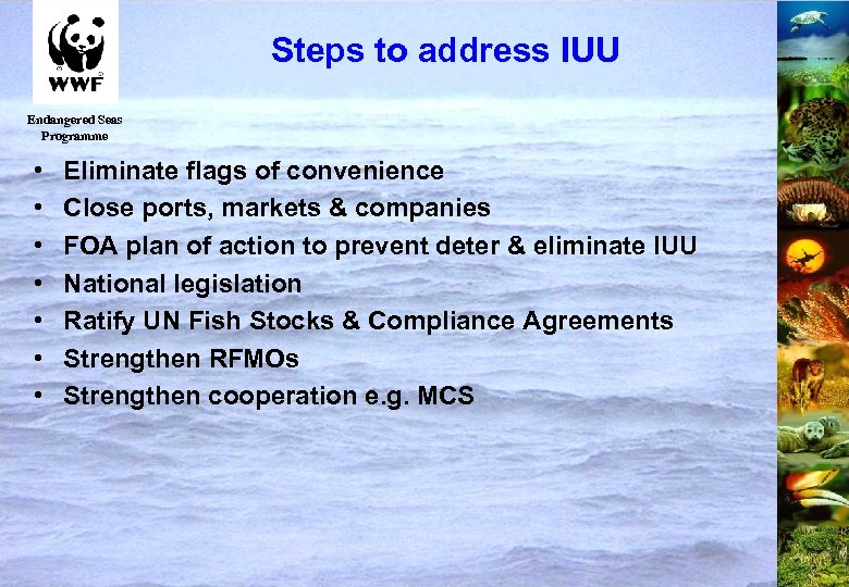Steps to address IUU Endangered Seas Programme • • Eliminate flags of convenience Close