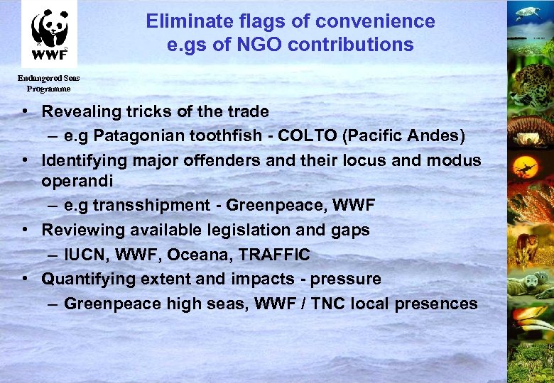 Eliminate flags of convenience e. gs of NGO contributions Endangered Seas Programme • Revealing