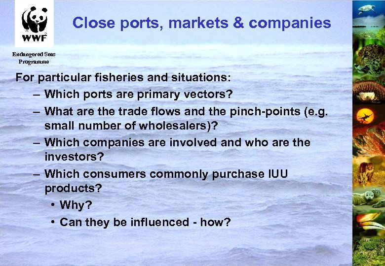 Close ports, markets & companies Endangered Seas Programme For particular fisheries and situations: –