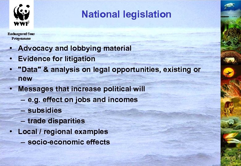 National legislation Endangered Seas Programme • Advocacy and lobbying material • Evidence for litigation