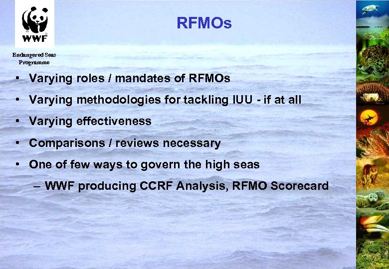 RFMOs Endangered Seas Programme • Varying roles / mandates of RFMOs • Varying methodologies