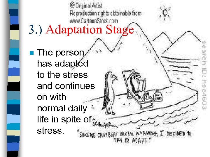 3. ) Adaptation Stage n The person has adapted to the stress and continues