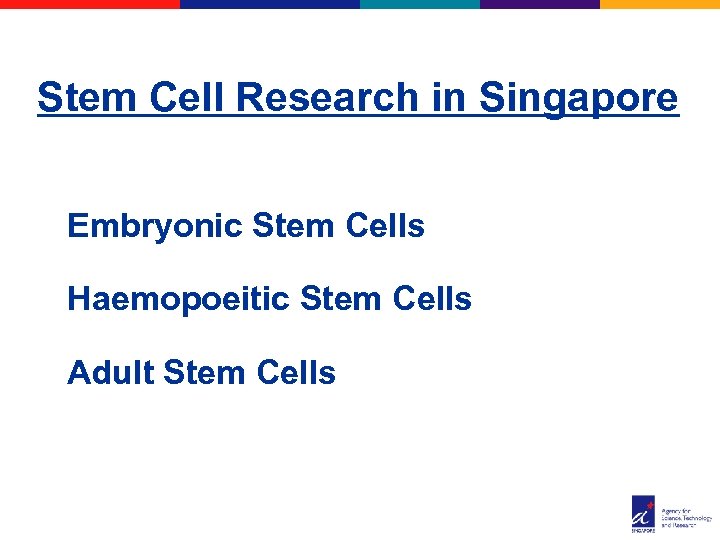 Stem Cell Research in Singapore Embryonic Stem Cells Haemopoeitic Stem Cells Adult Stem Cells