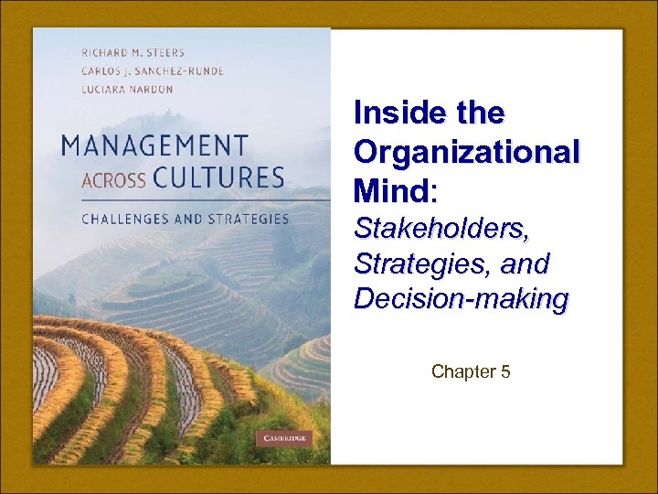 Inside the Organizational Mind: Stakeholders, Strategies, and Decision-making Chapter 5 