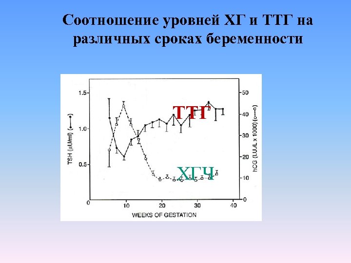 Соотношение уровней ХГ и ТТГ на различных сроках беременности ТТГ ХГЧ 