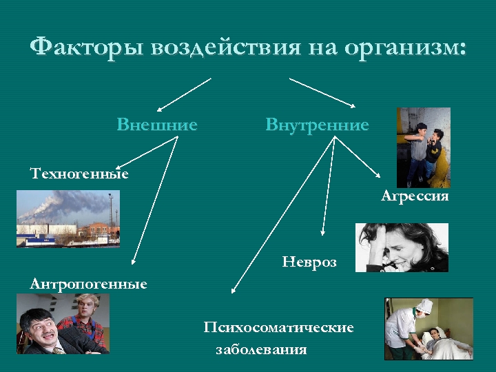 Факторы воздействия на организм: Внешние Внутренние Техногенные Агрессия Невроз Антропогенные Психосоматические заболевания 