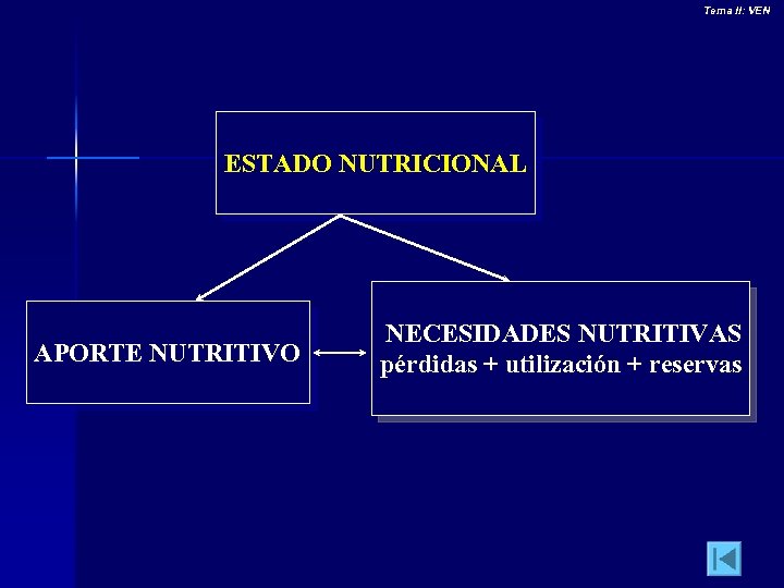 Tema II: VEN ESTADO NUTRICIONAL APORTE NUTRITIVO NECESIDADES NUTRITIVAS pérdidas + utilización + reservas