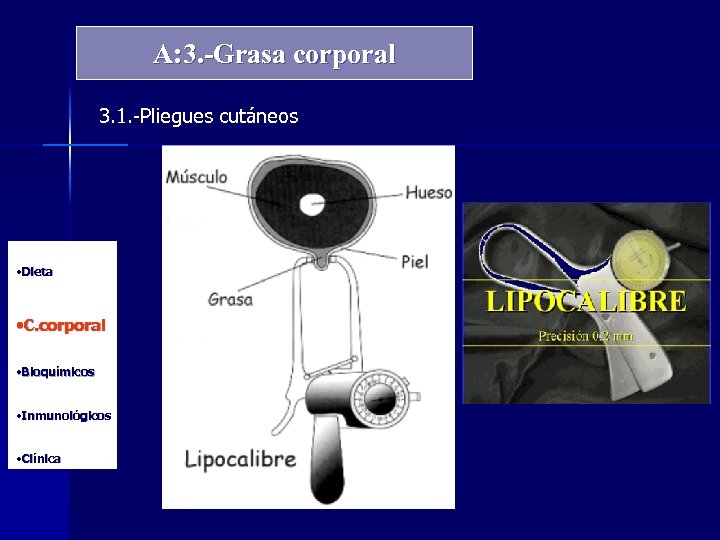 A: 3. -Grasa corporal 3. 1. -Pliegues cutáneos • Dieta • C. corporal •