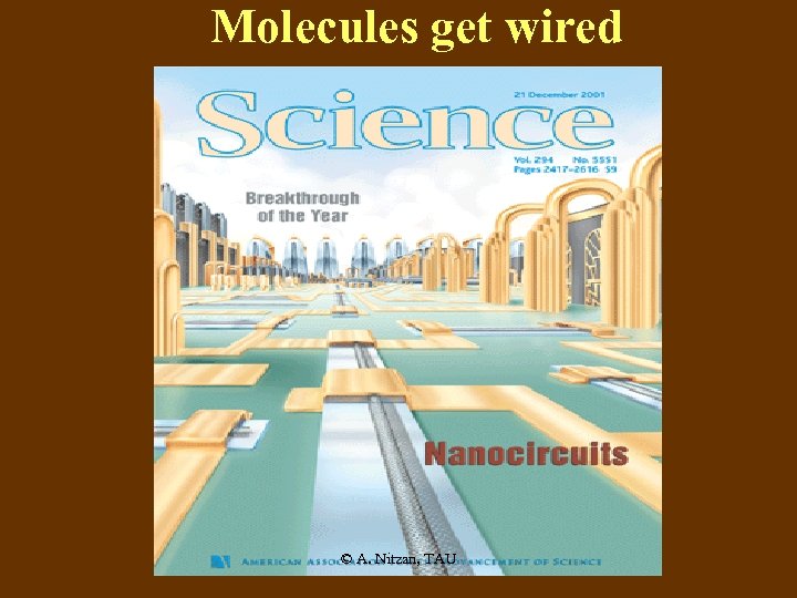 Molecules get wired © A. Nitzan, TAU 