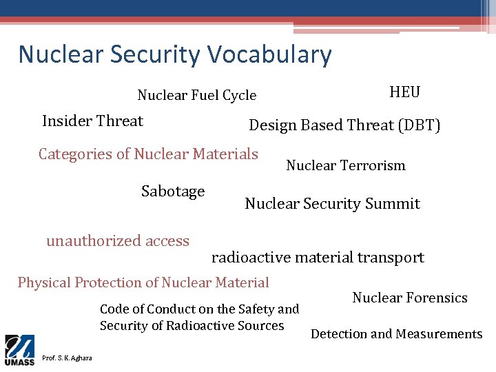 Nuclear Security Vocabulary HEU Nuclear Fuel Cycle Insider Threat Design Based Threat (DBT) Categories