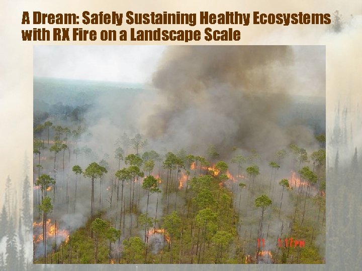 A Dream: Safely Sustaining Healthy Ecosystems with RX Fire on a Landscape Scale 