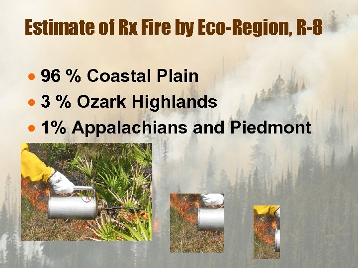 Estimate of Rx Fire by Eco-Region, R-8 · 96 % Coastal Plain · 3