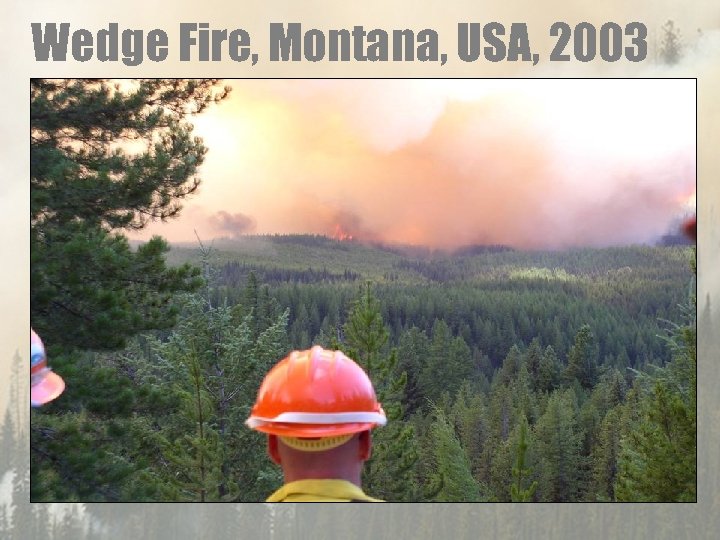 Wedge Fire, Montana, USA, 2003 