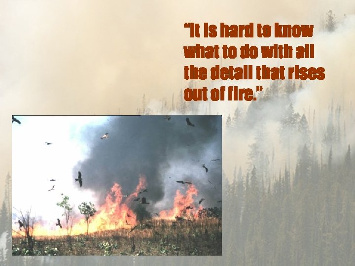 “It is hard to know what to do with all the detail that rises