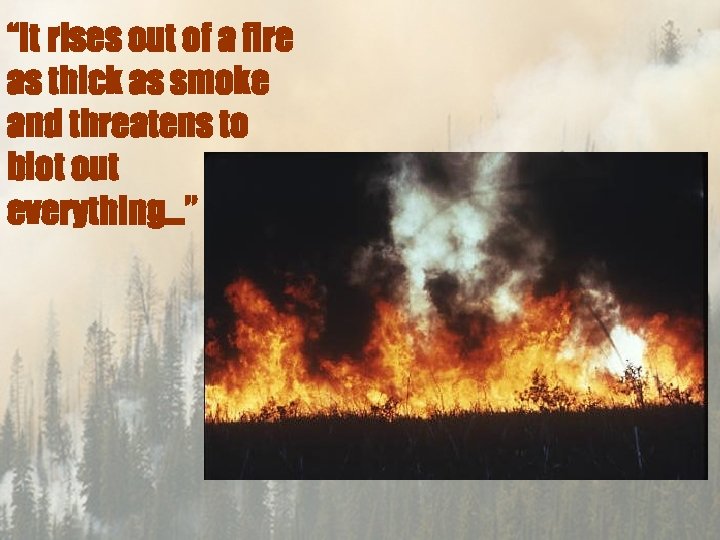 “It rises out of a fire as thick as smoke and threatens to blot