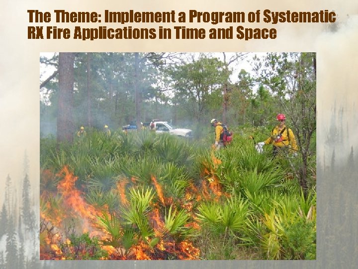 The Theme: Implement a Program of Systematic RX Fire Applications in Time and Space