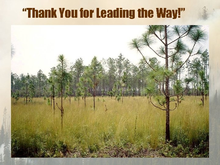 “Thank You for Leading the Way!” 