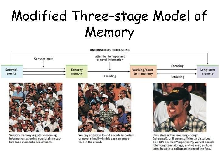 Modified Three-stage Model of Memory 