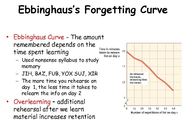 Ebbinghaus’s Forgetting Curve • Ebbinghaus Curve - The amount remembered depends on the time