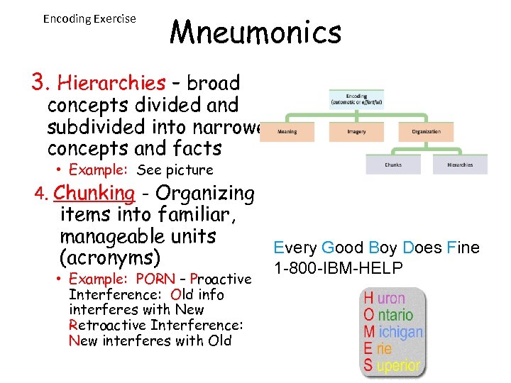 Encoding Exercise Mneumonics 3. Hierarchies – broad concepts divided and subdivided into narrower concepts