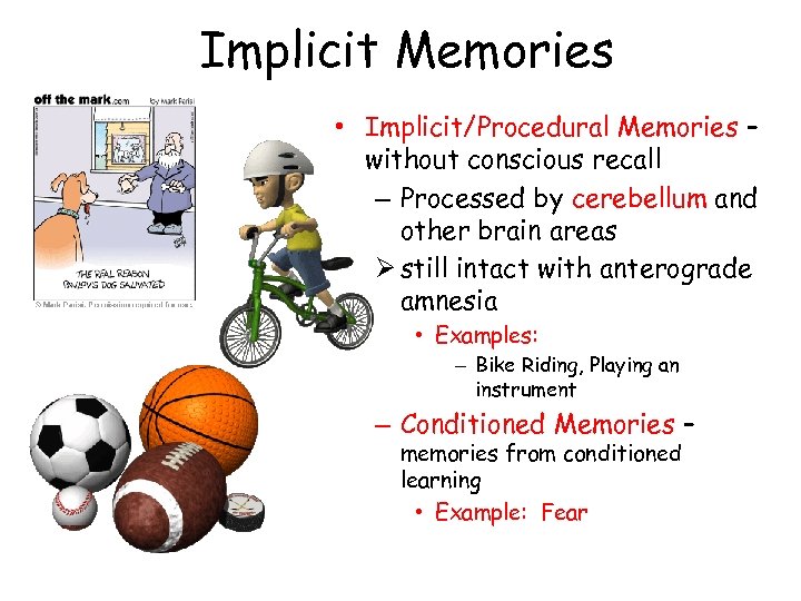 Implicit Memories • Implicit/Procedural Memories – without conscious recall – Processed by cerebellum and