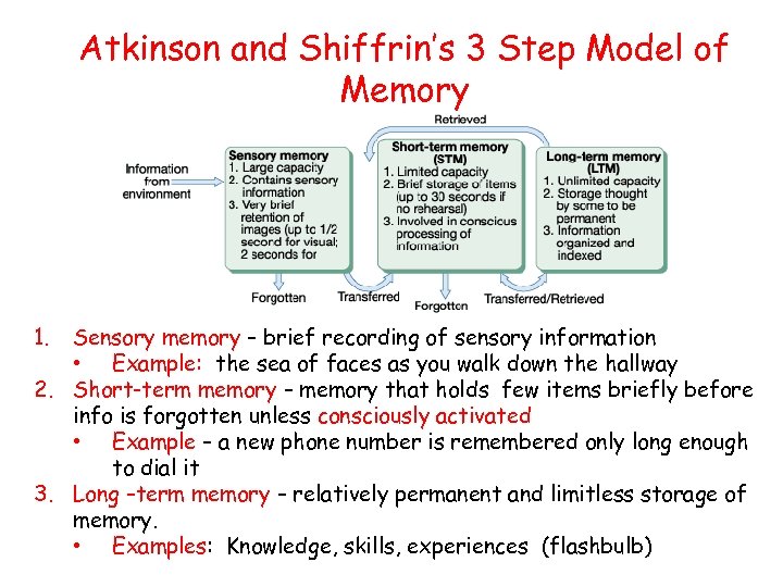 Atkinson and Shiffrin’s 3 Step Model of Memory 1. Sensory memory – brief recording