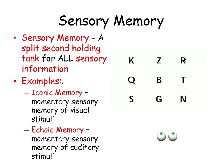 Sensory Memory • Sensory Memory - A split second holding tank for ALL sensory