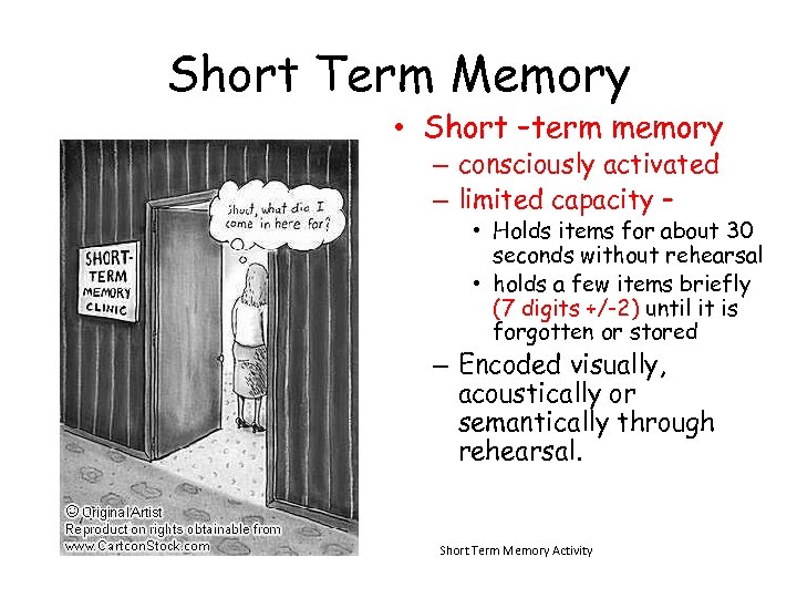 Short Term Memory • Short –term memory – consciously activated – limited capacity –