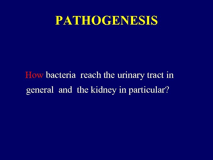PATHOGENESIS How bacteria reach the urinary tract in general and the kidney in particular?