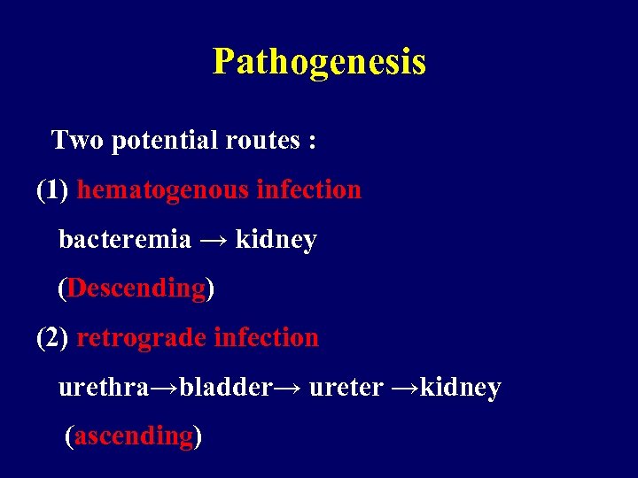 Pathogenesis Two potential routes : (1) hematogenous infection bacteremia → kidney (Descending) (2) retrograde
