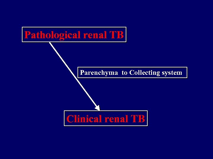 Pathological renal TB Parenchyma to Collecting system Clinical renal TB 