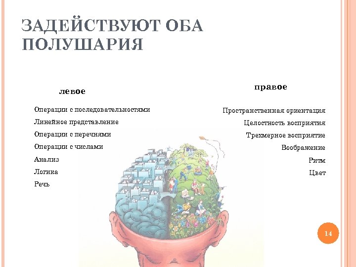 ЗАДЕЙСТВУЮТ ОБА ПОЛУШАРИЯ левое Операции с последовательностями Линейное представление Операции с перечнями Операции с