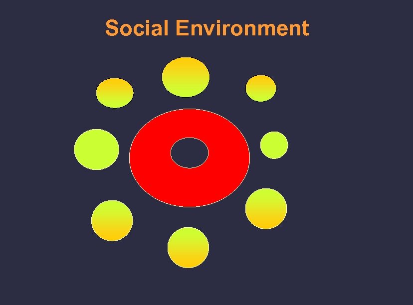 Social Environment 