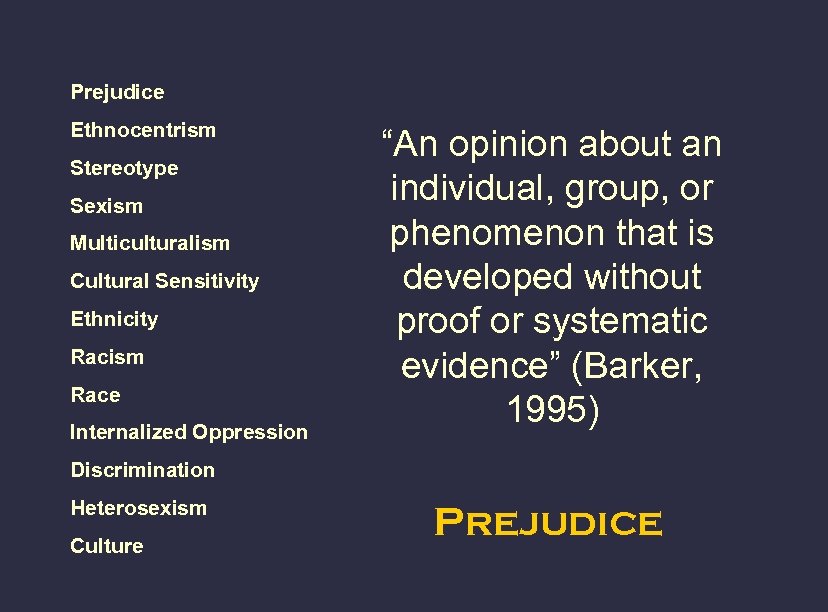 Prejudice Ethnocentrism Stereotype Sexism Multiculturalism Cultural Sensitivity Ethnicity Racism Race Internalized Oppression “An opinion