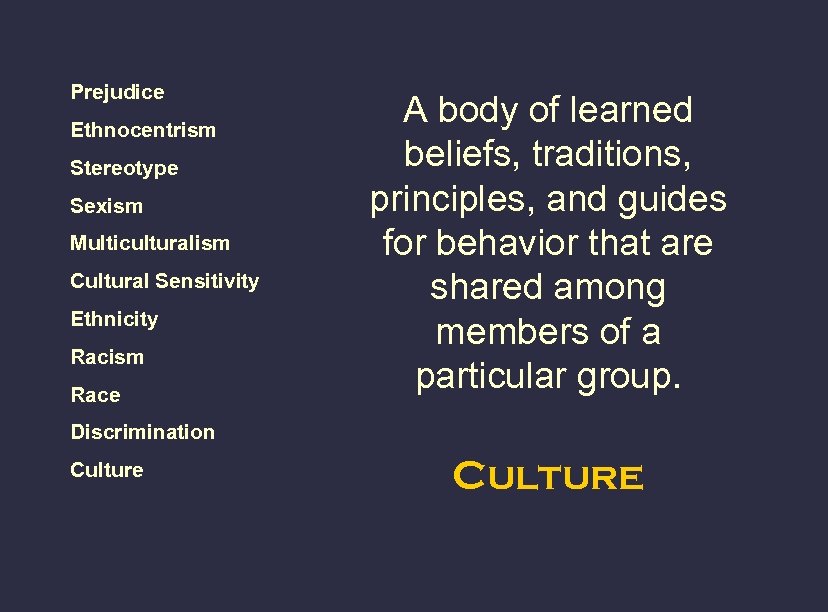 Prejudice Ethnocentrism Stereotype Sexism Multiculturalism Cultural Sensitivity Ethnicity Racism Race A body of learned