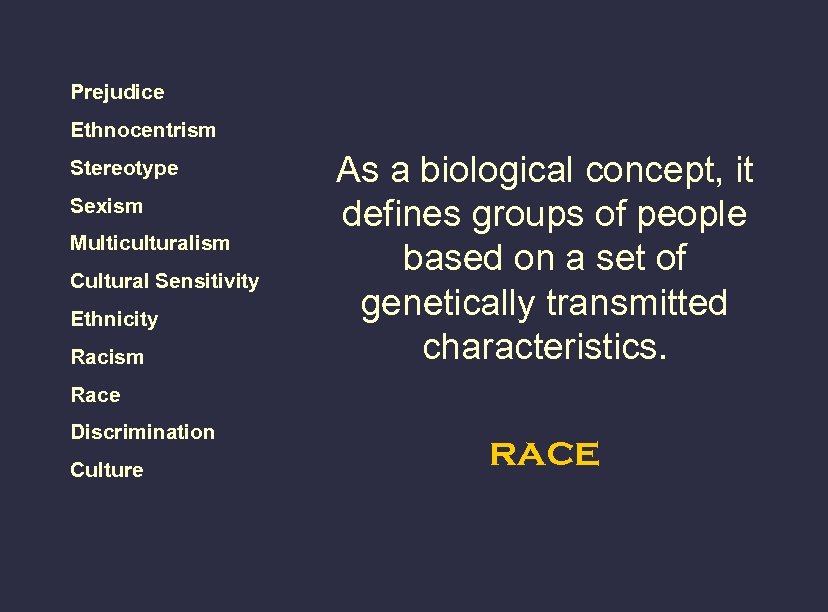 Prejudice Ethnocentrism Stereotype Sexism Multiculturalism Cultural Sensitivity Ethnicity Racism As a biological concept, it