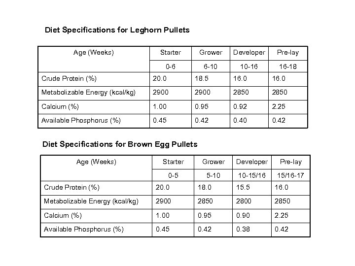 Diet Specifications for Leghorn Pullets Age (Weeks) Starter Grower Developer Pre-lay 0 -6 6