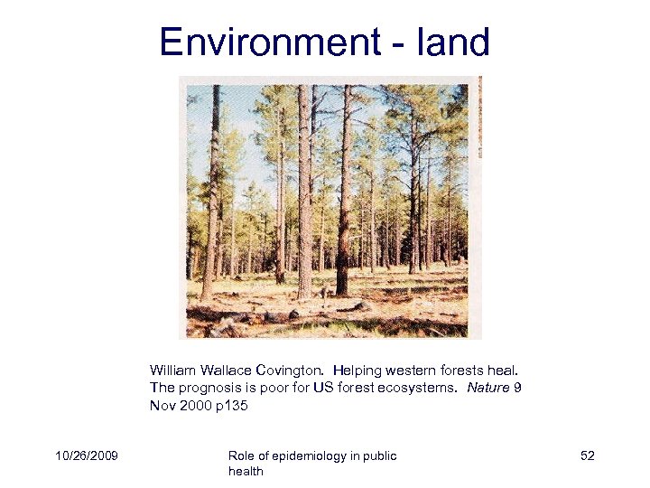 Environment - land William Wallace Covington. Helping western forests heal. The prognosis is poor