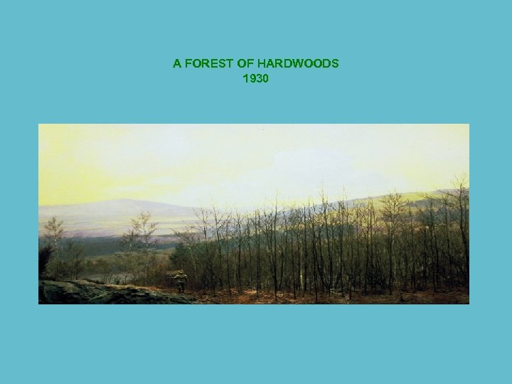 A FOREST OF HARDWOODS 1930 