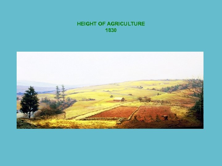 HEIGHT OF AGRICULTURE 1830 