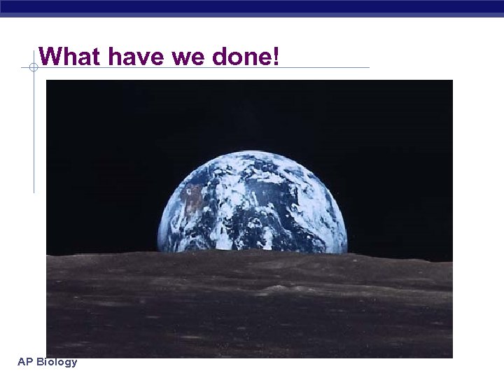 What have we done! AP Biology 