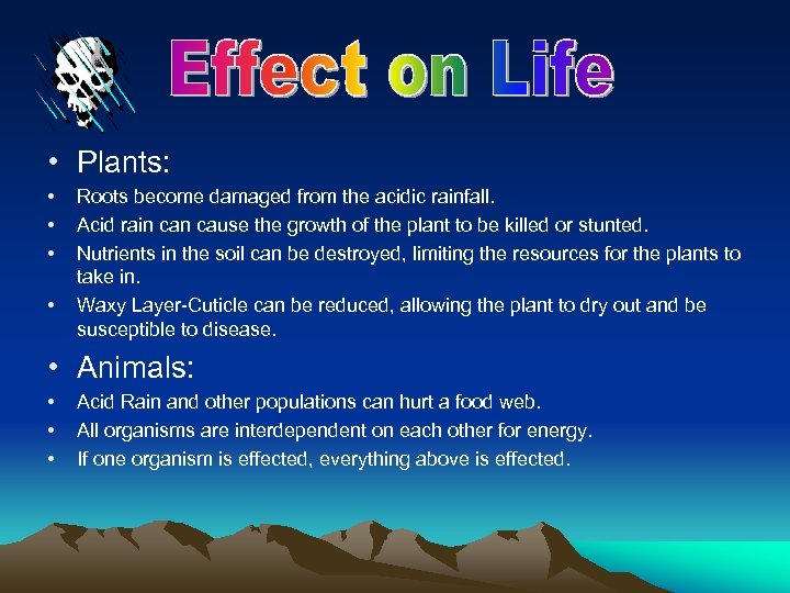  • Plants: • • Roots become damaged from the acidic rainfall. Acid rain