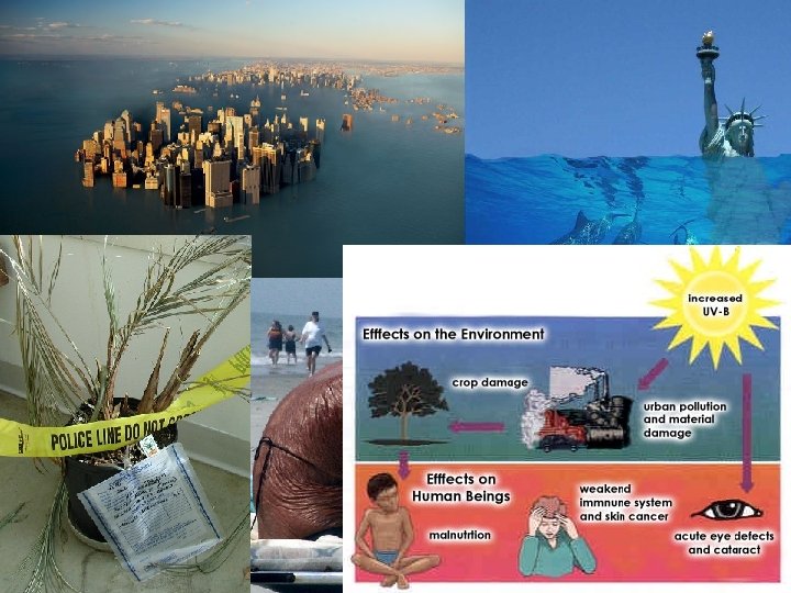  • Life on Earth appeared only after the oxygen layer was sufficiently thick