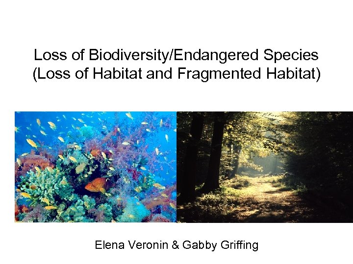 Loss of Biodiversity/Endangered Species (Loss of Habitat and Fragmented Habitat) Elena Veronin & Gabby
