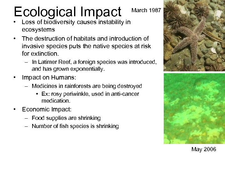 Ecological Impact March 1987 • Loss of biodiversity causes instability in ecosystems • The